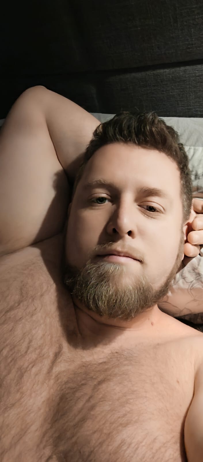 Profil von Nihad